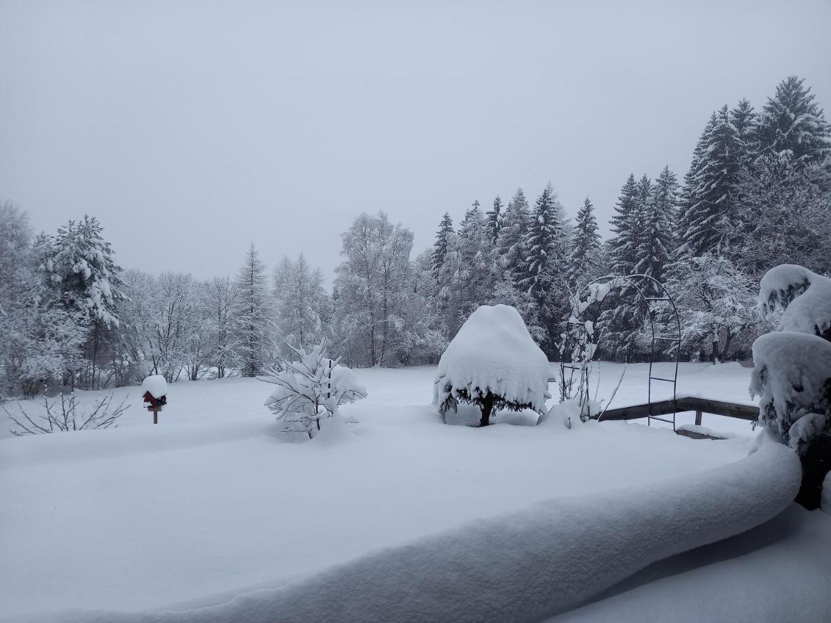 Haus Alexander Villa Fresach Kültér fotó